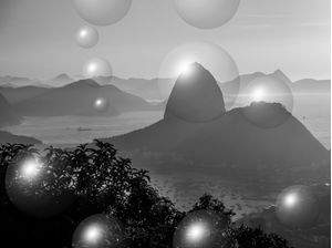 PÃO DE AÇÚCAR BUBBLE NIGRI