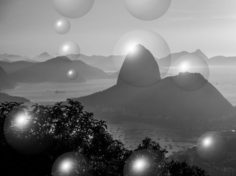 PÃO DE AÇÚCAR BUBBLE NIGRI