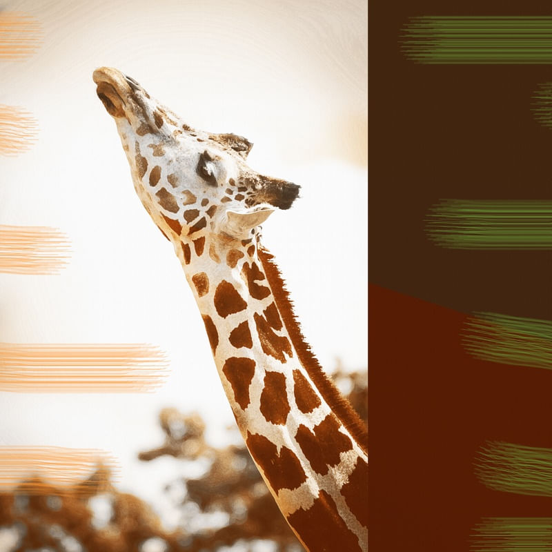 LOVELY GIRAFFE