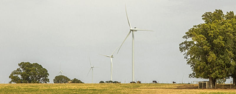 FAZENDA COM ENERGIA EÓLICA