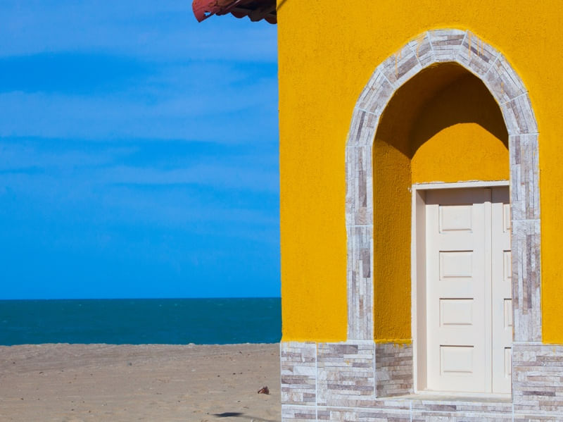 CORES DE GALINHOS