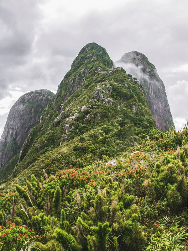 CRISTA PICO PARANÁ