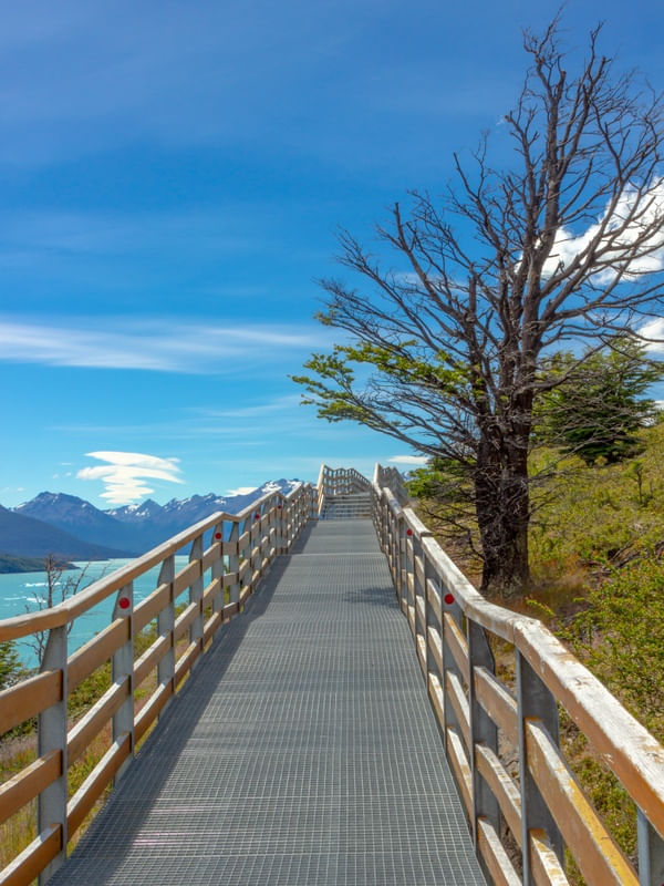 PASSARELA EM PERITO MORENO