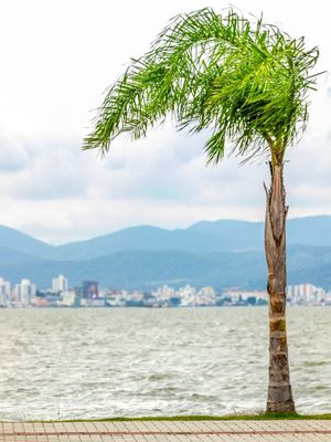 BEIRA MAR FLORIANOPOLIS