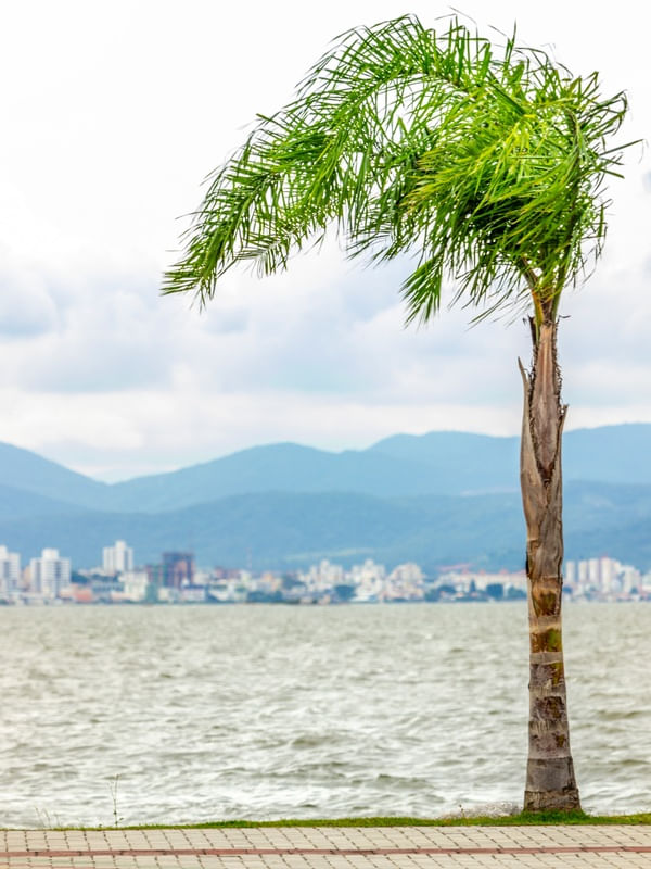 BEIRA MAR FLORIANOPOLIS
