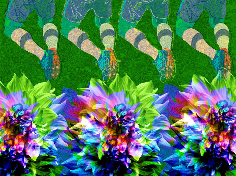 NEM TUDO SÃO FLORES III