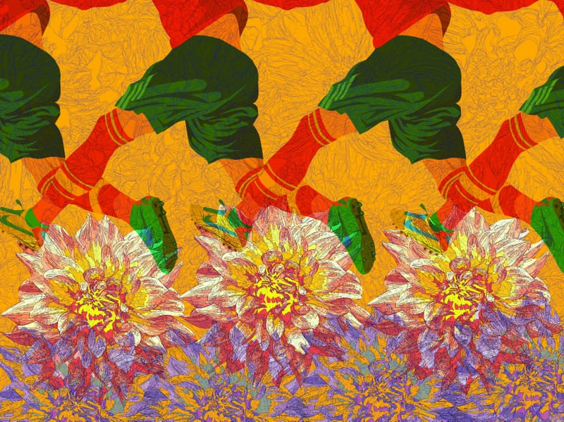NEM TUDO SÃO FLORES IV