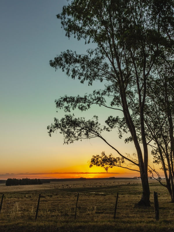 POR DO SOL NO SITIO