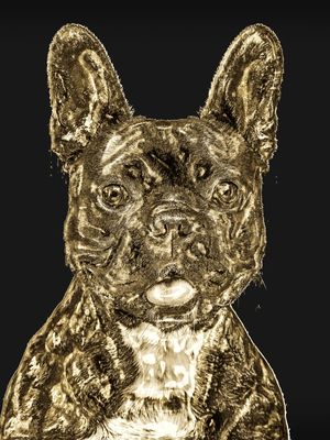 BULLDOG DOURADO (MADE OF GOLD)