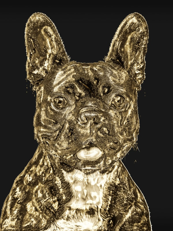 BULLDOG DOURADO (MADE OF GOLD)
