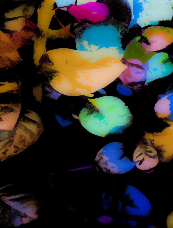 CORES E FOLHAGENS