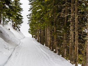 CAMINHO COM NEVE