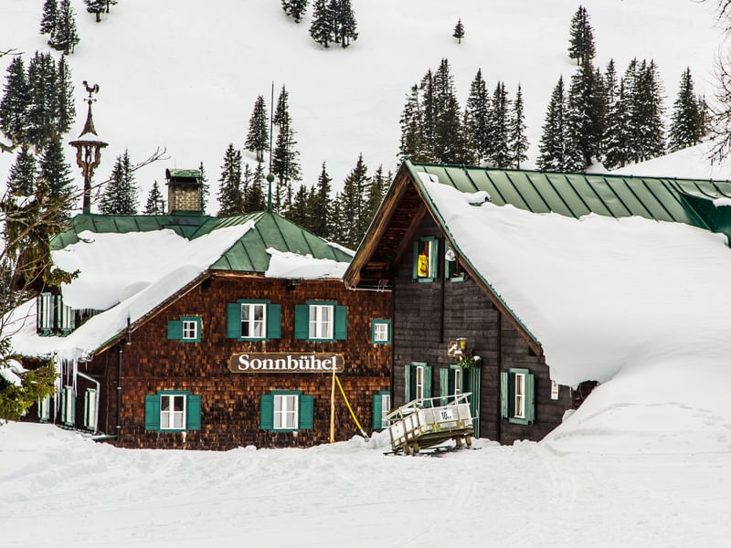 CASAS NEVE