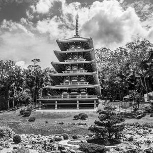 TORRE DE MIROKU 9