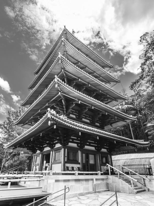 TORRE DE MIROKU 17