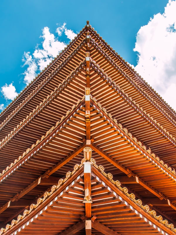 TORRE DE MIROKU 18