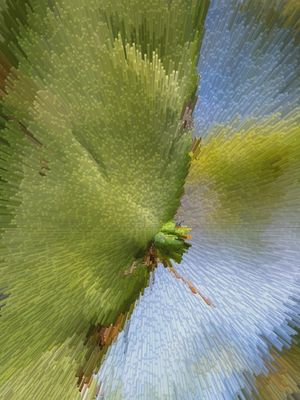CACTUS PRISMA