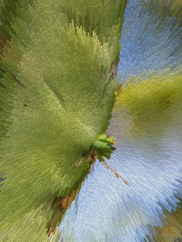 CACTUS PRISMA