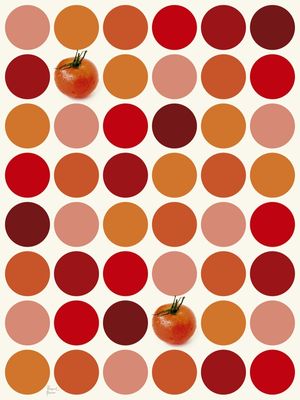 TONS DE TOMATE