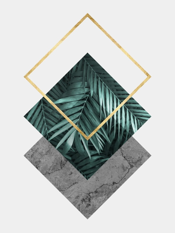 GEOMETRIA TROPICAL III