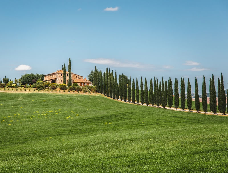 TOSCANA L2