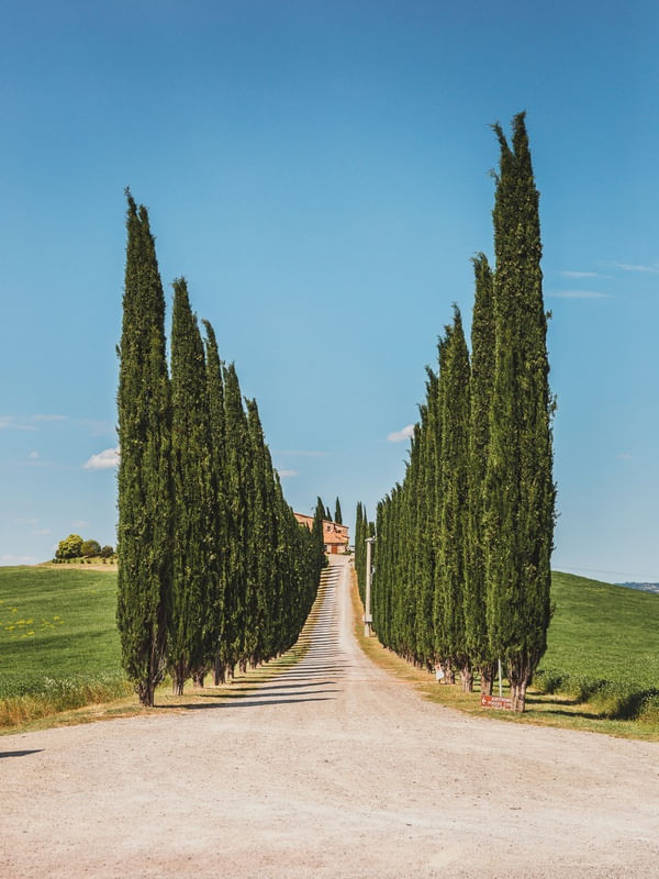 TOSCANA L3