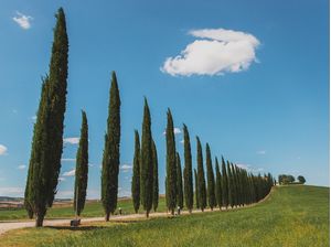 TOSCANA L6