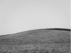 TOSCANA L7
