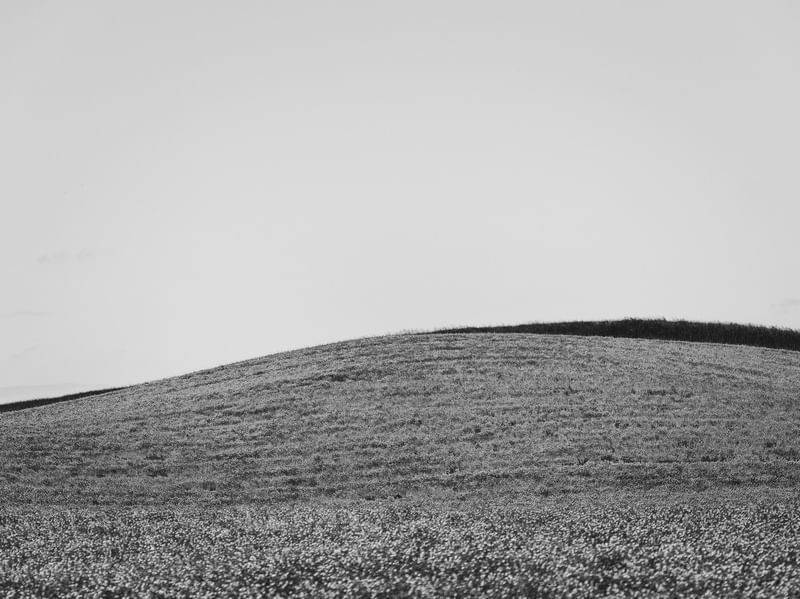 TOSCANA L7