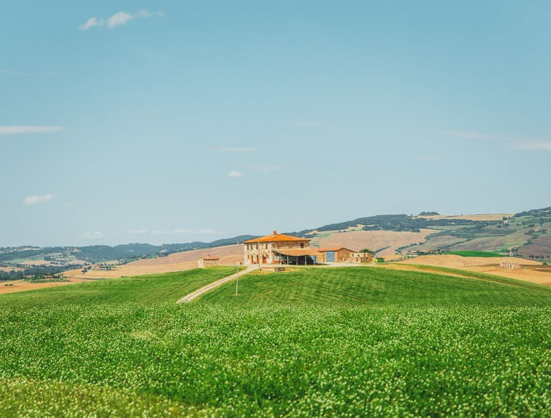 TOSCANA L8