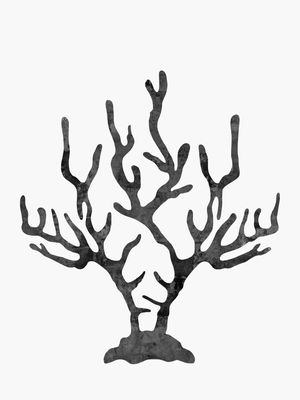 CORAL NEGRO