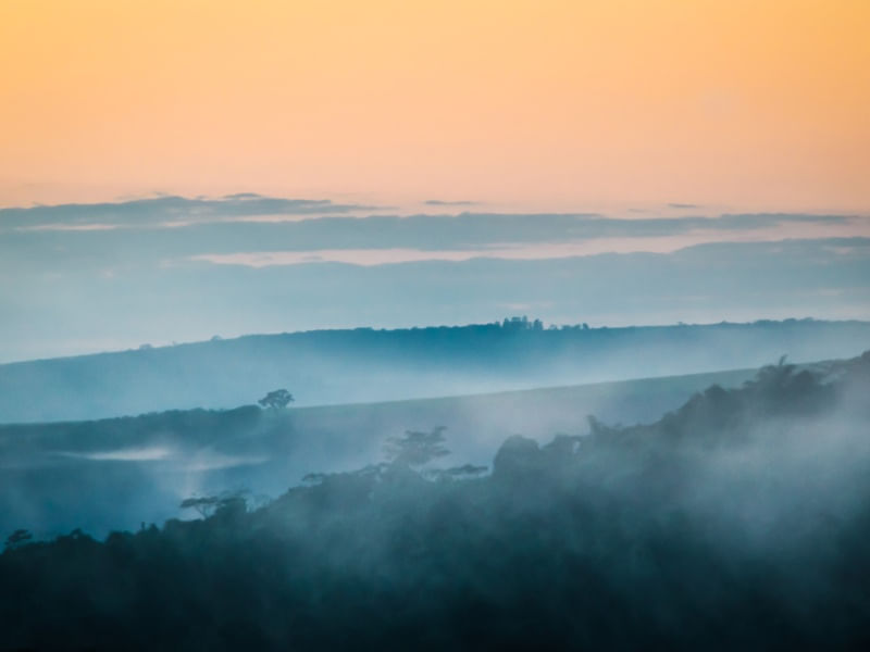 NÉVOA AO AMANHECER
