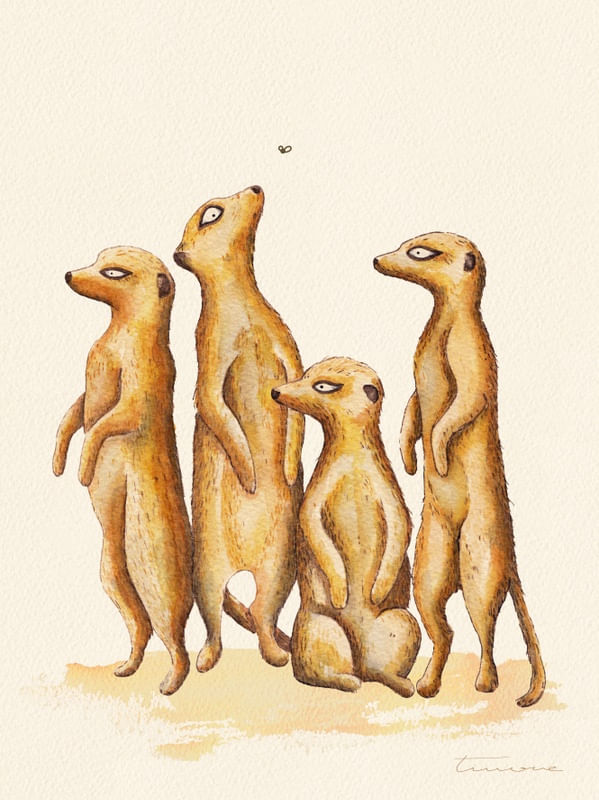 PROCRASTINATING MEERKAT