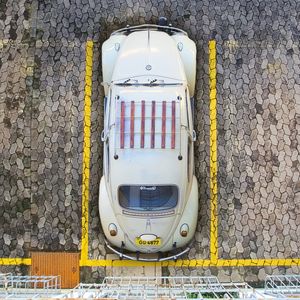 FUSCA URBANO