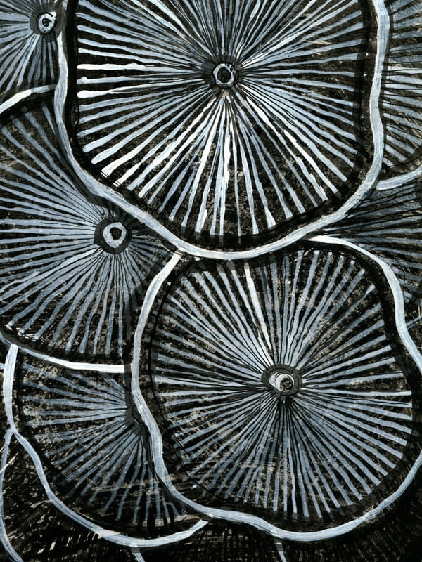COGUMELOS I