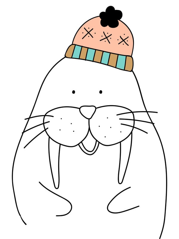 FOCA FOFA