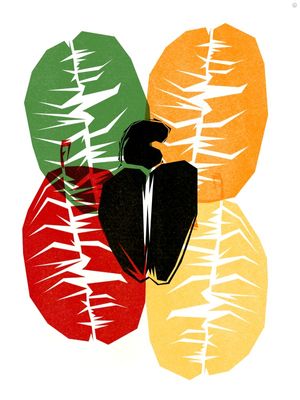 CAJÚ - NORDESTE ILUSTRADO