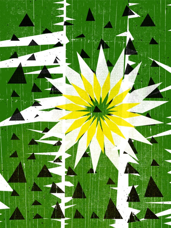 FLOR - NORDESTE ILUSTRADO