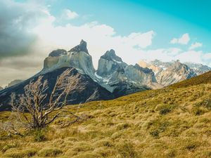 LOS CUERNOS DE TORRES DEL PAINE