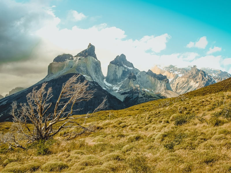 LOS CUERNOS DE TORRES DEL PAINE