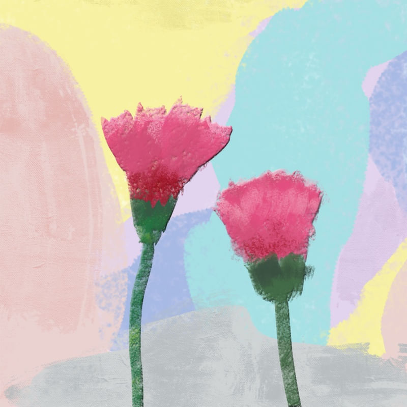 FLORES CRAVOS
