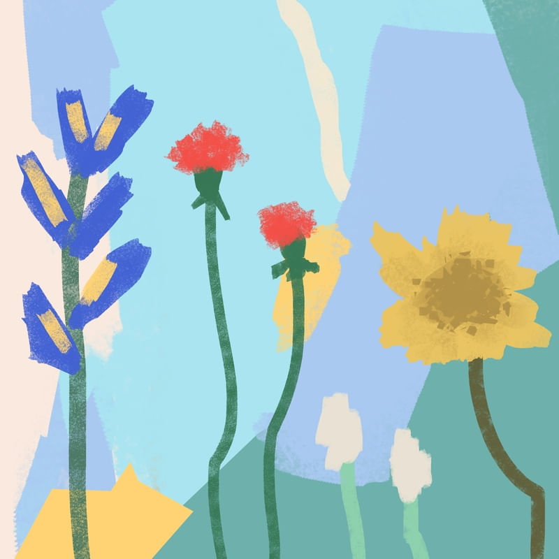 FLORES CAMPESTRES