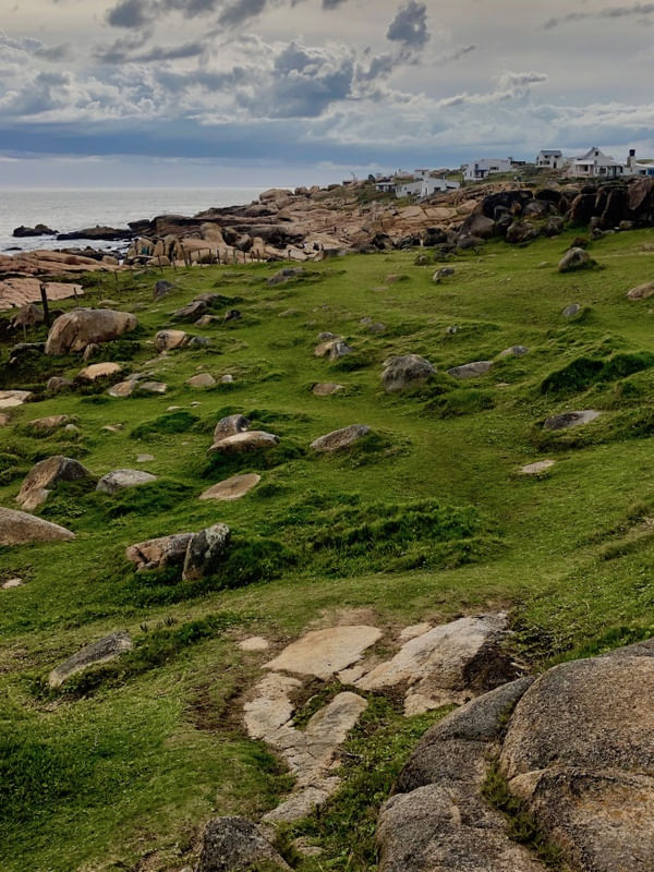 GREEN BY THE SEA
