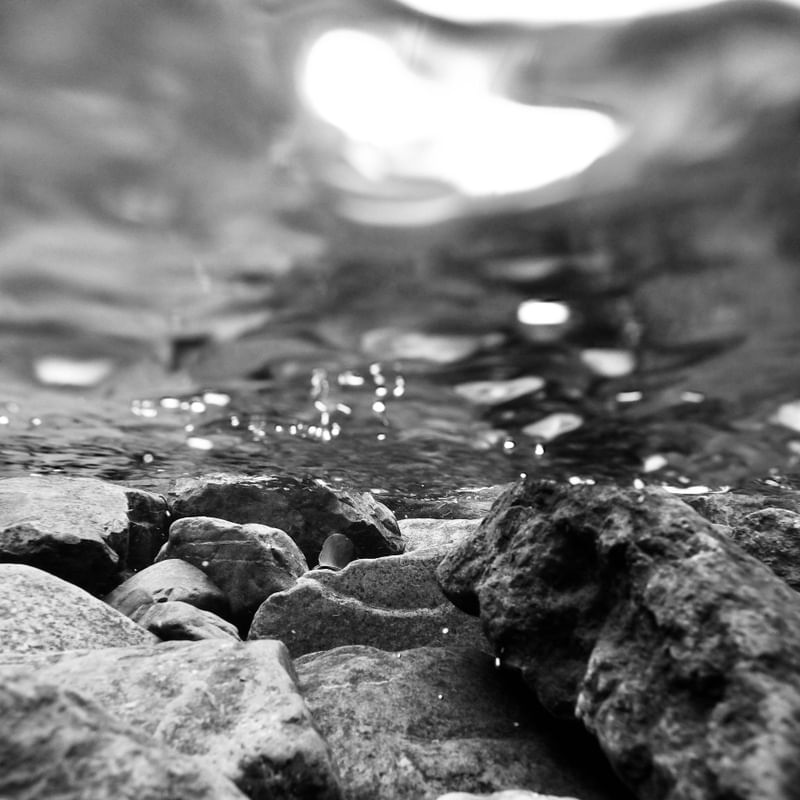 UNDERWATER B&W
