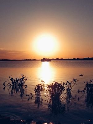 BARCO E SOL