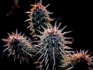 CACTUS POP VOSTRO