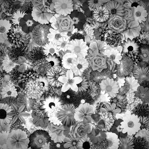MIX FLORAL NIGRI CUBO VOSTRO