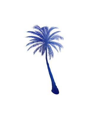 BLUE PALM TREE