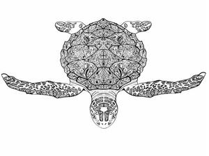 TARTARUGA