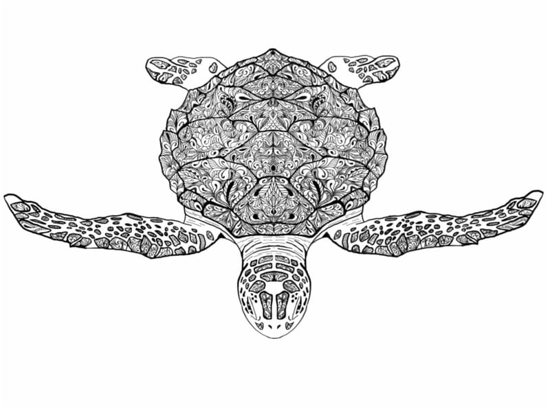 TARTARUGA